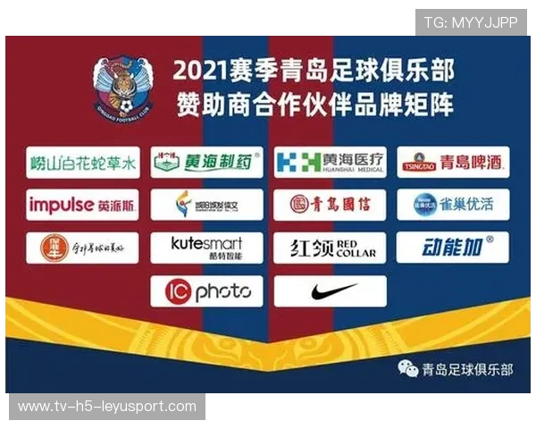 世界足球数据隐私合规最佳实践与政策建议，最详细的足球信息网站